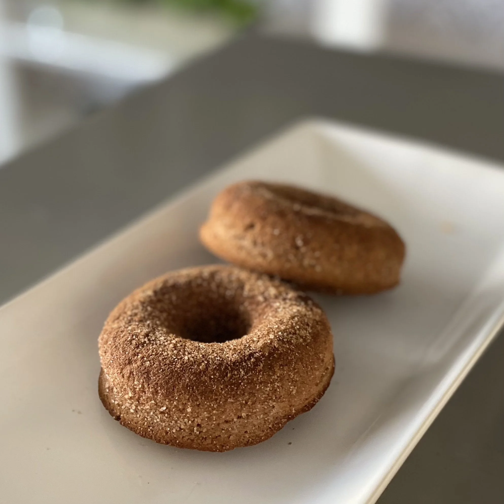 apple+cider+donut.jpg